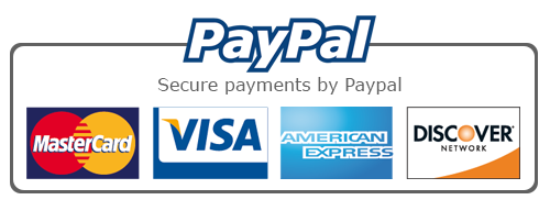 paypal service